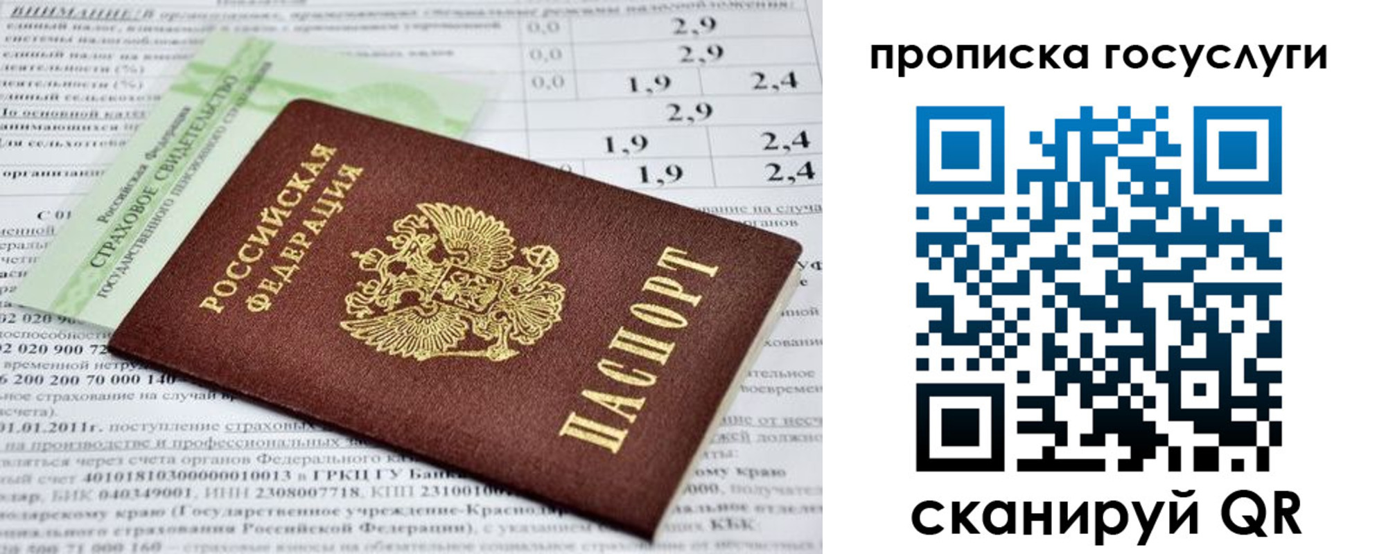 прописка паспорт в Белой Калитве